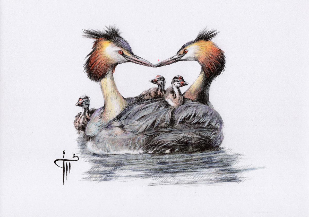 НЕПОТОПЛЯЕМЫЙ ЛАЙНЕР ЖИЗНИ! Так Наталья Тихомирова представила одну из самых дивных картин на планете Земля, рождённую равенством чувств и равенством обязанностей.