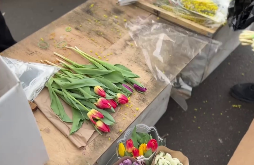 © Стоп-кадр видео t.me/kkispb - ККИ Санкт-Петербурга