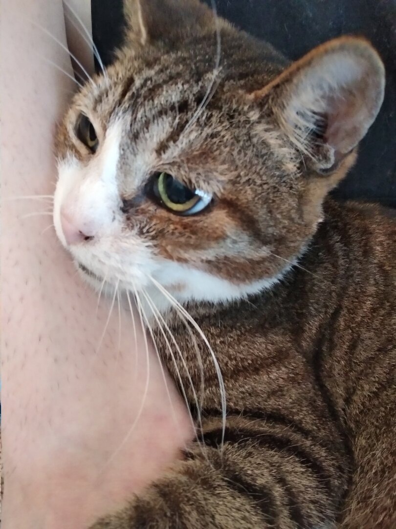 Фото из архива