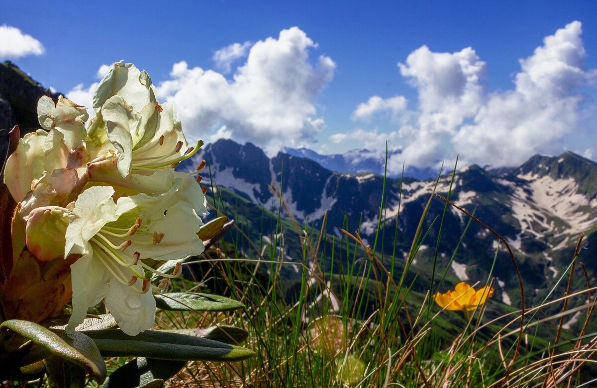 По дороге на озеро Адуэда 