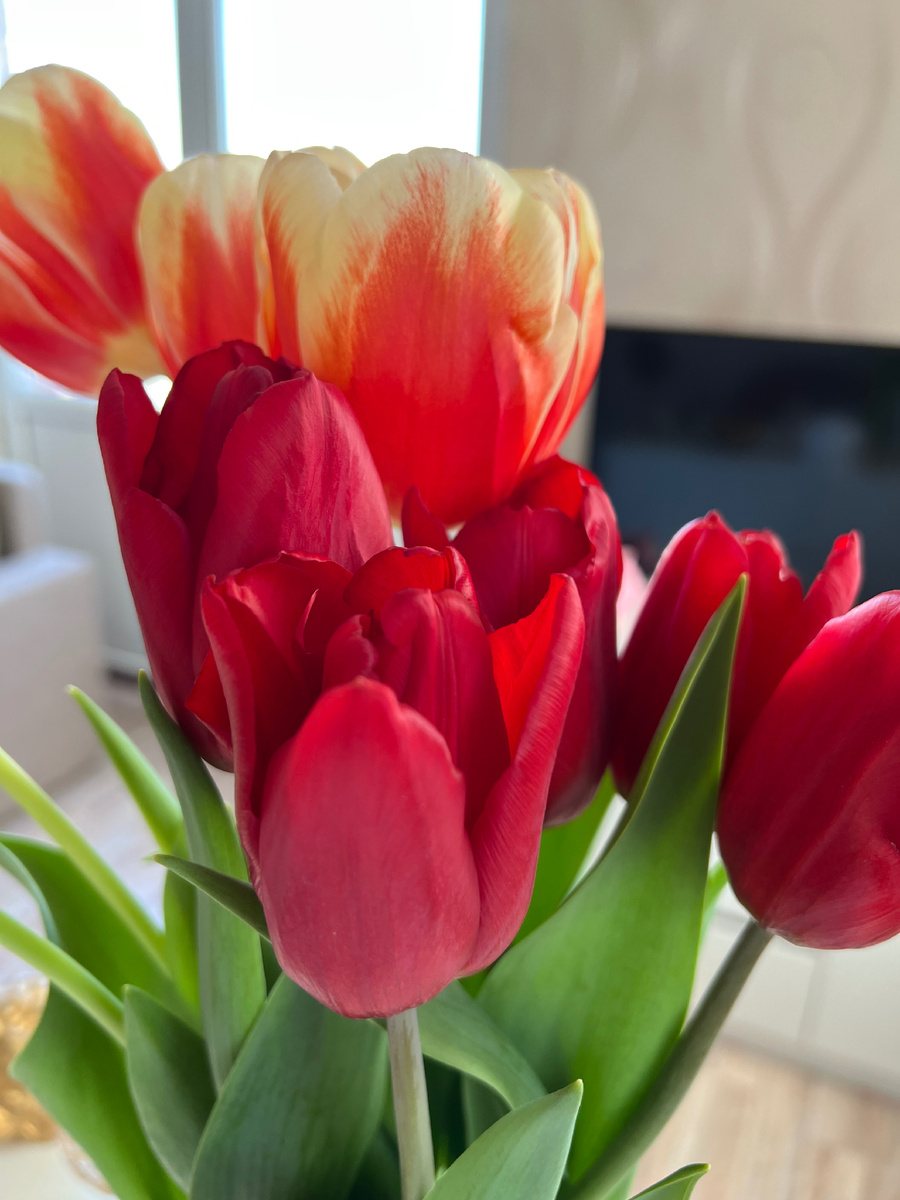 🌸 Он не поздравил тебя с 8 Марта? 🌸

Ты ждала, но он так и не написал…

❌ Никаких цветов.
❌ Никакого “С праздником, дорогая”.
❌ Даже простого сообщения.

Почему?

	•	Он забыл?
	•	У него другая?
	•	Это знак, что ему уже всё равно?
	•	Или он просто ждет, когда ты первая напишешь?

💔 Больно, когда не знаешь правду…

Но я могу помочь.
Сейчас сделаю для тебя экспресс-расклад на его чувства – коротко, точно и по делу.

⚡ Только 20 мест! ⚡

💬 Экспресс-расклад на его чувства – честный и точный ответ уже сегодня!

📌 Формат – текстовый разбор.
💰 Стоимость – 888 руб.
⏳ Всего 20 мест!

Для записи пишите 📲 
🕊 *+7 960 436 90 02* 🦋
What’sApp