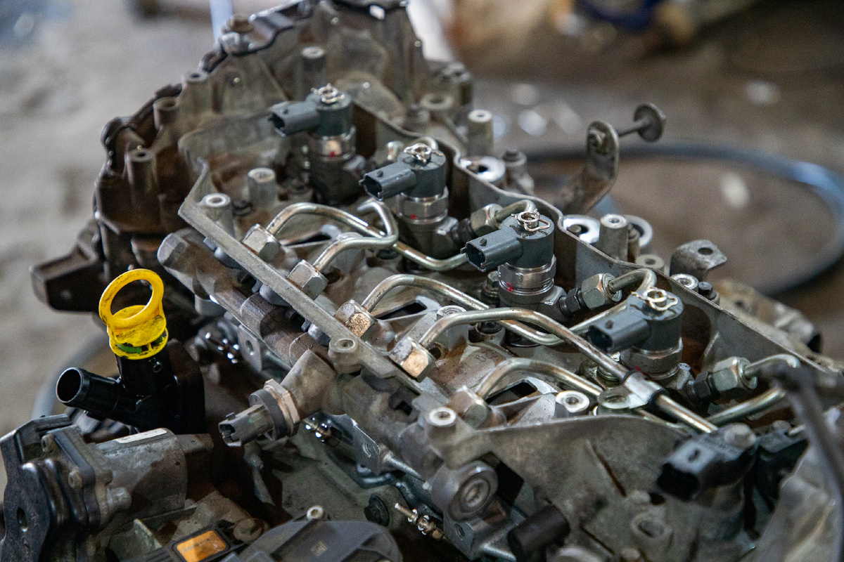 © Petrov Sergey\news.ru\Global Look Press