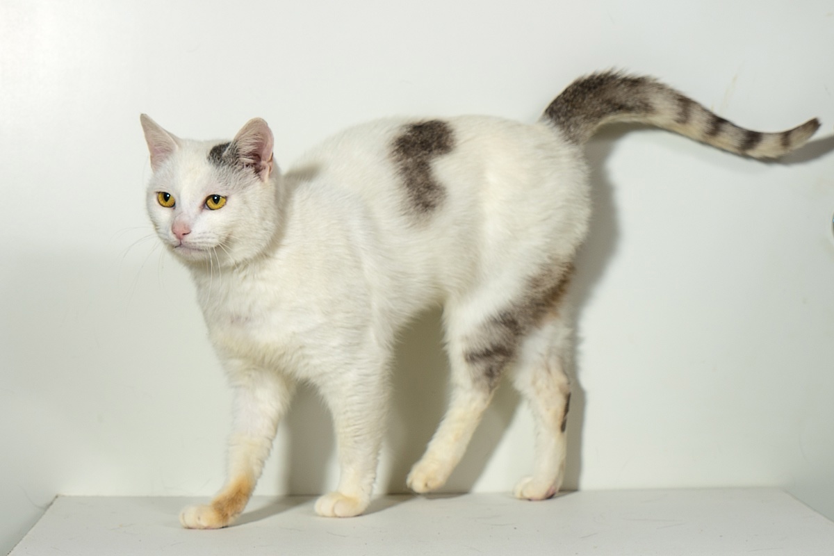 Фото из группы https://vk.com/club58993075