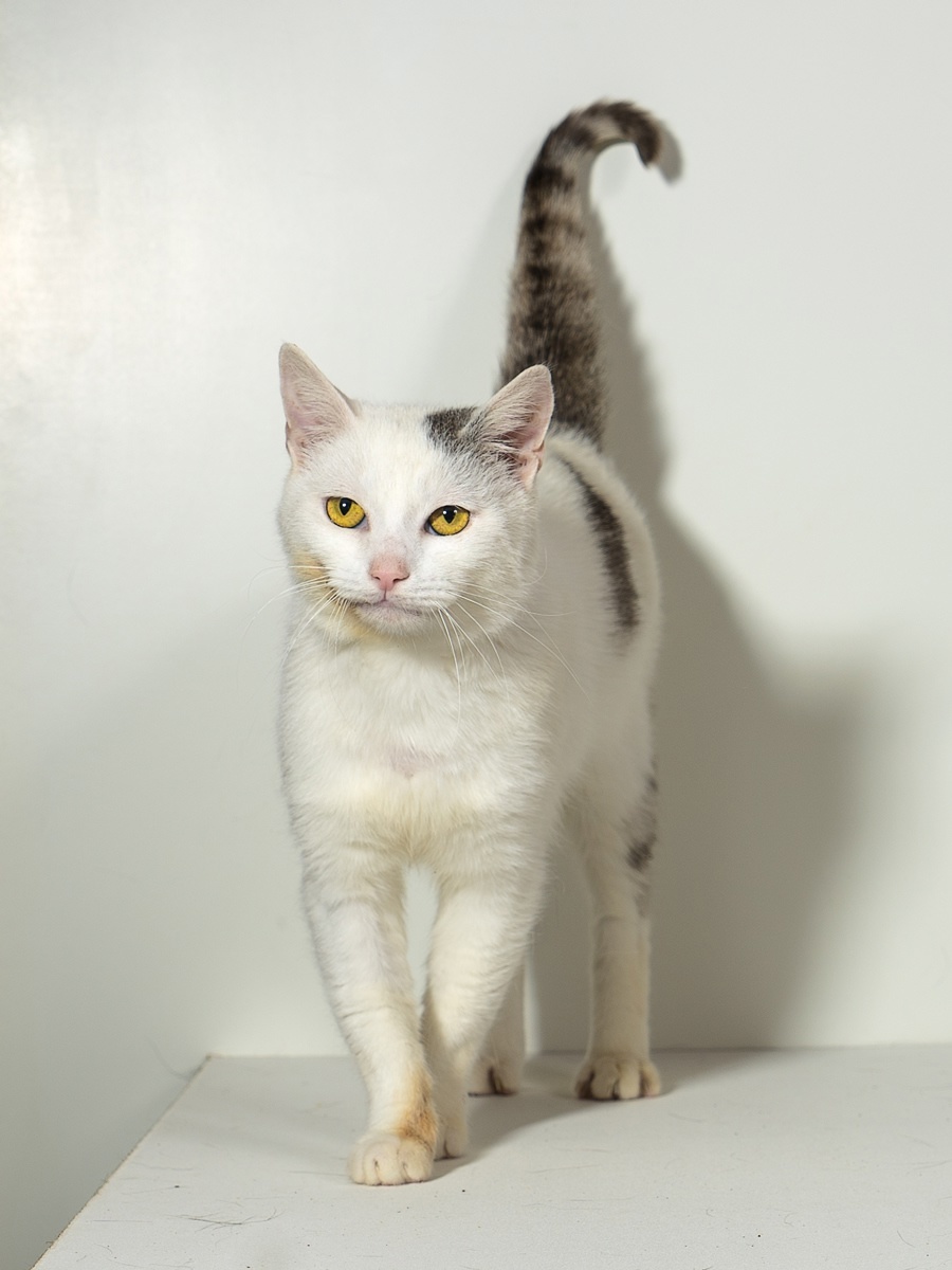 фото из группы https://vk.com/club58993075