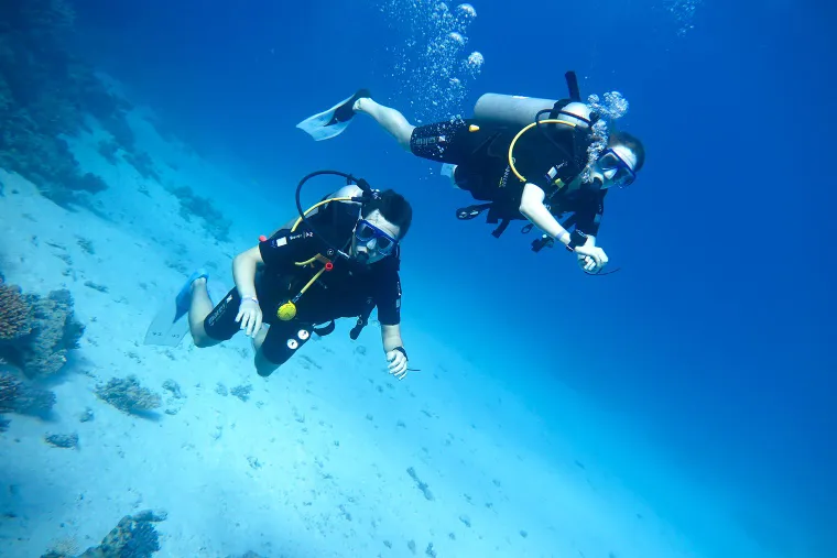 Обучаться в школе дайвинга было сложно, но невероятно интересно