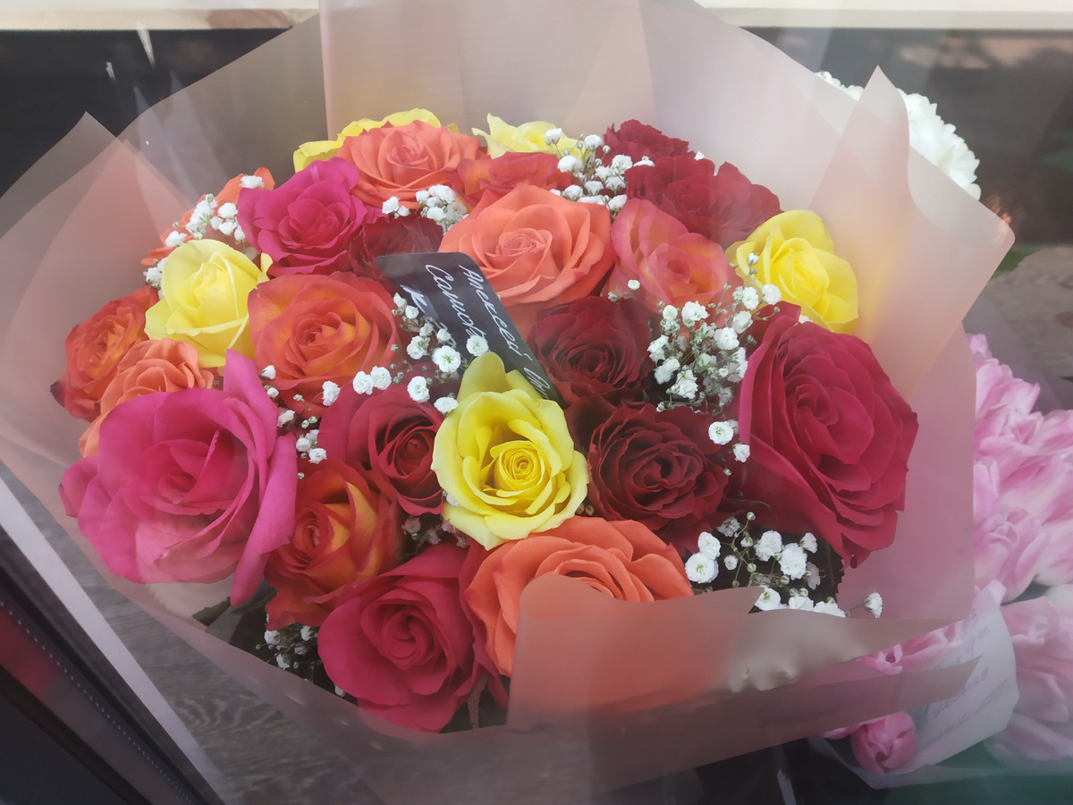 Фото автора публикации