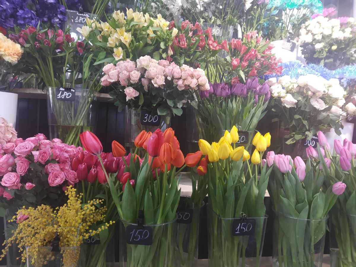 Фото автора публикации