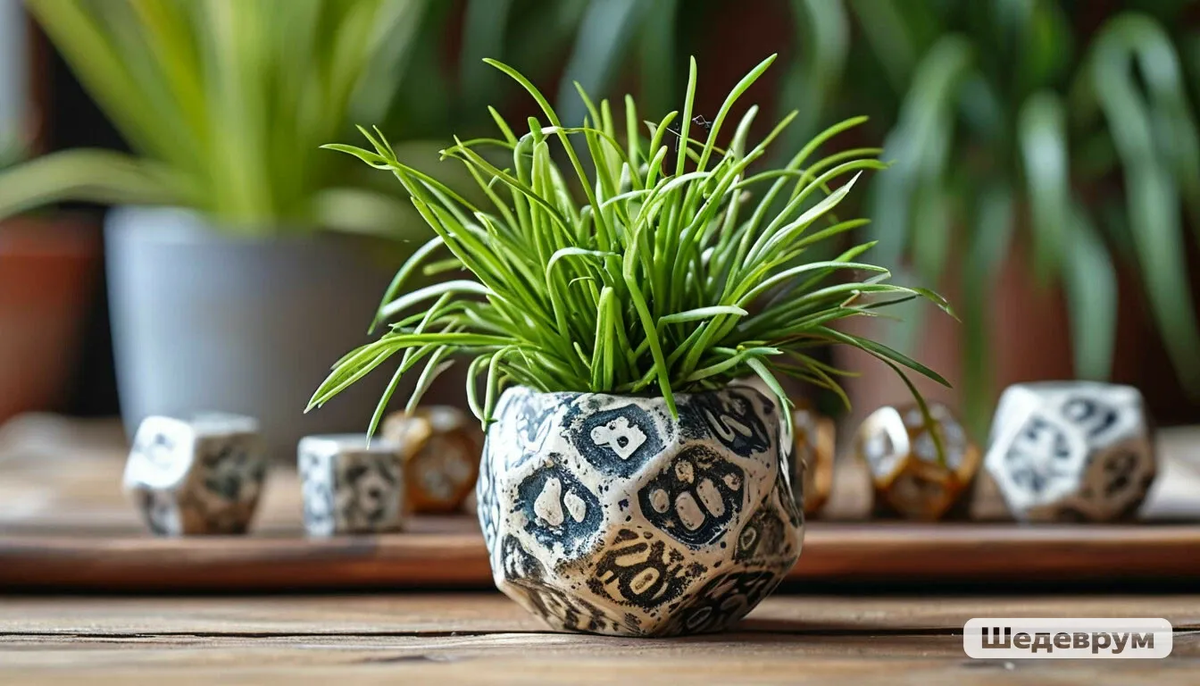 Молочай Тирукалли