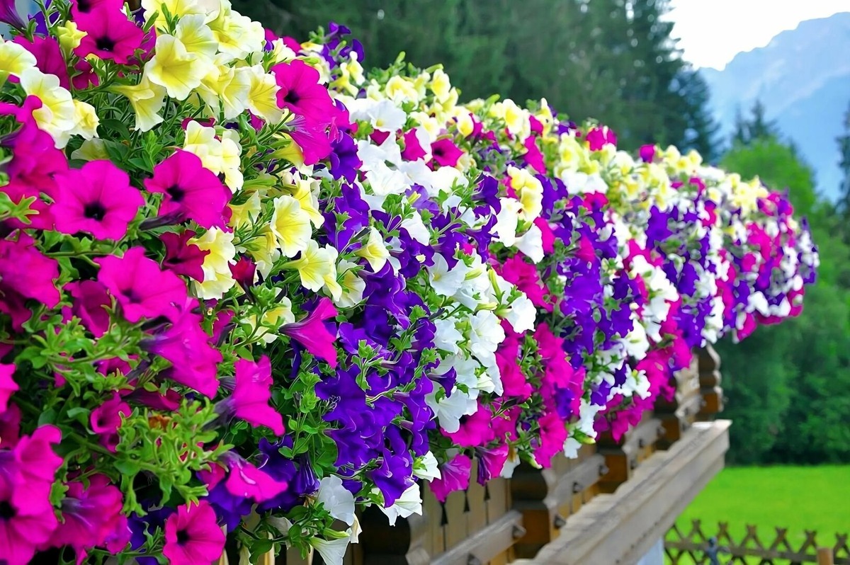 В деревянных горшках вообще класс смотрятся