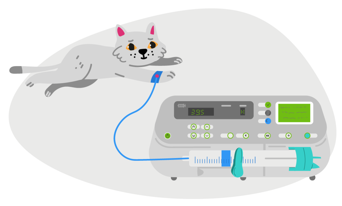 Котик с интернета, потому что я опять забыла сфотографировать Рыжика)