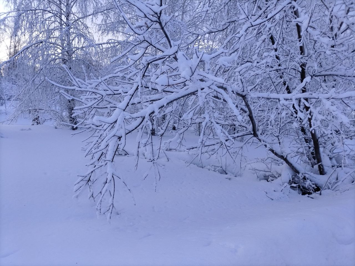 Фото автора.