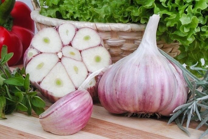 Что нужно сделать с озимым чесноком весной: важная весенняя подкормка и основные моменты ухода