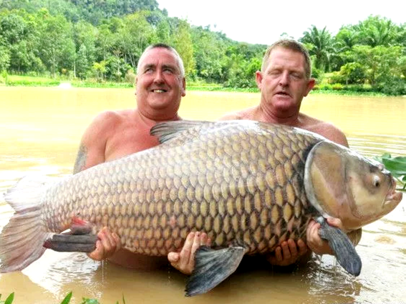 Этот весит 103 кило