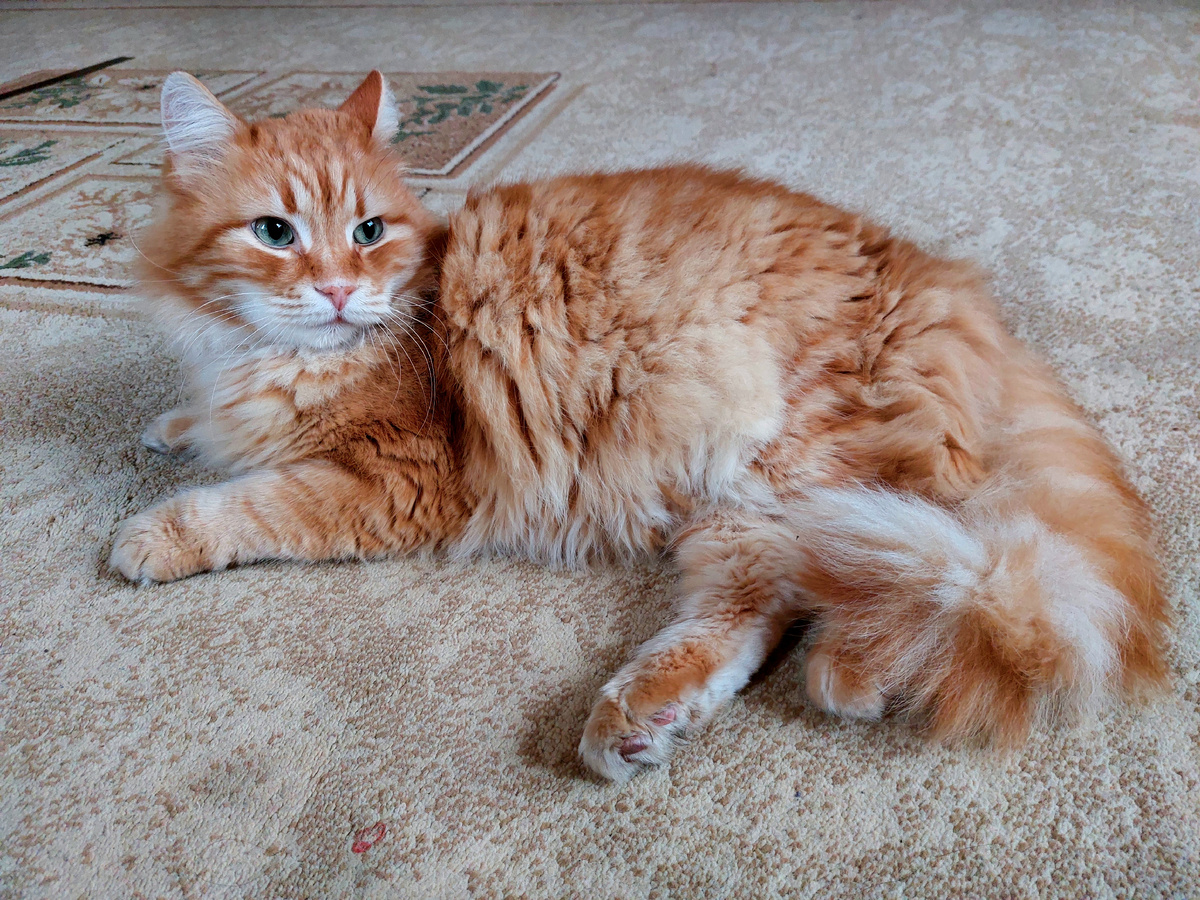 Фото автора