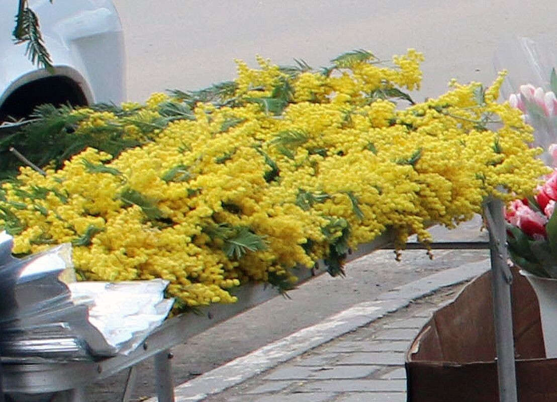 Приносить радость другим на праздник — это на самом деле нелёгкий труд  📷
