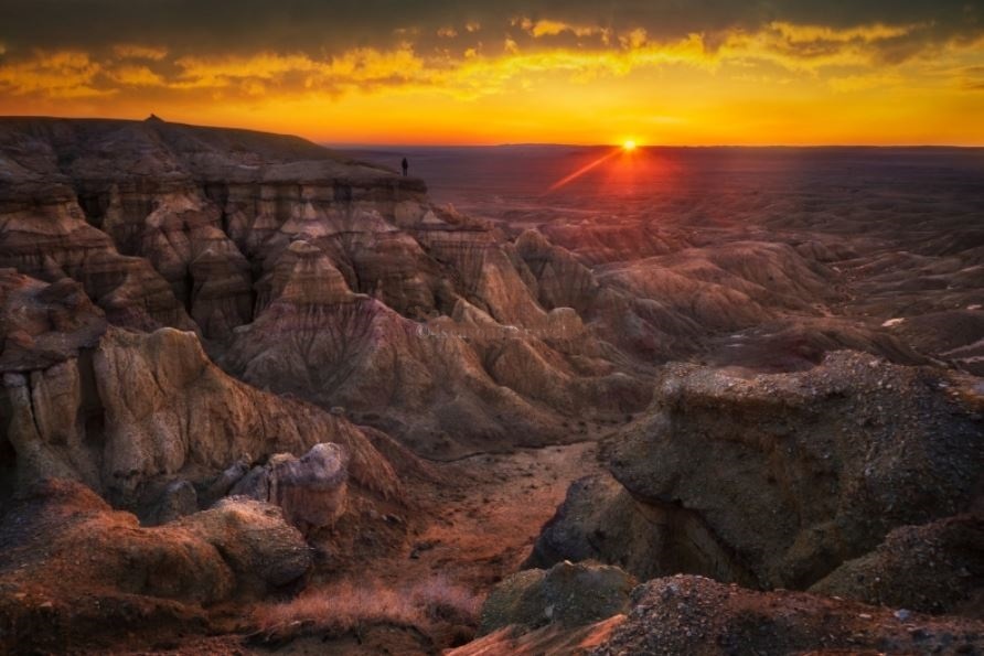 По заповедникам Монголии