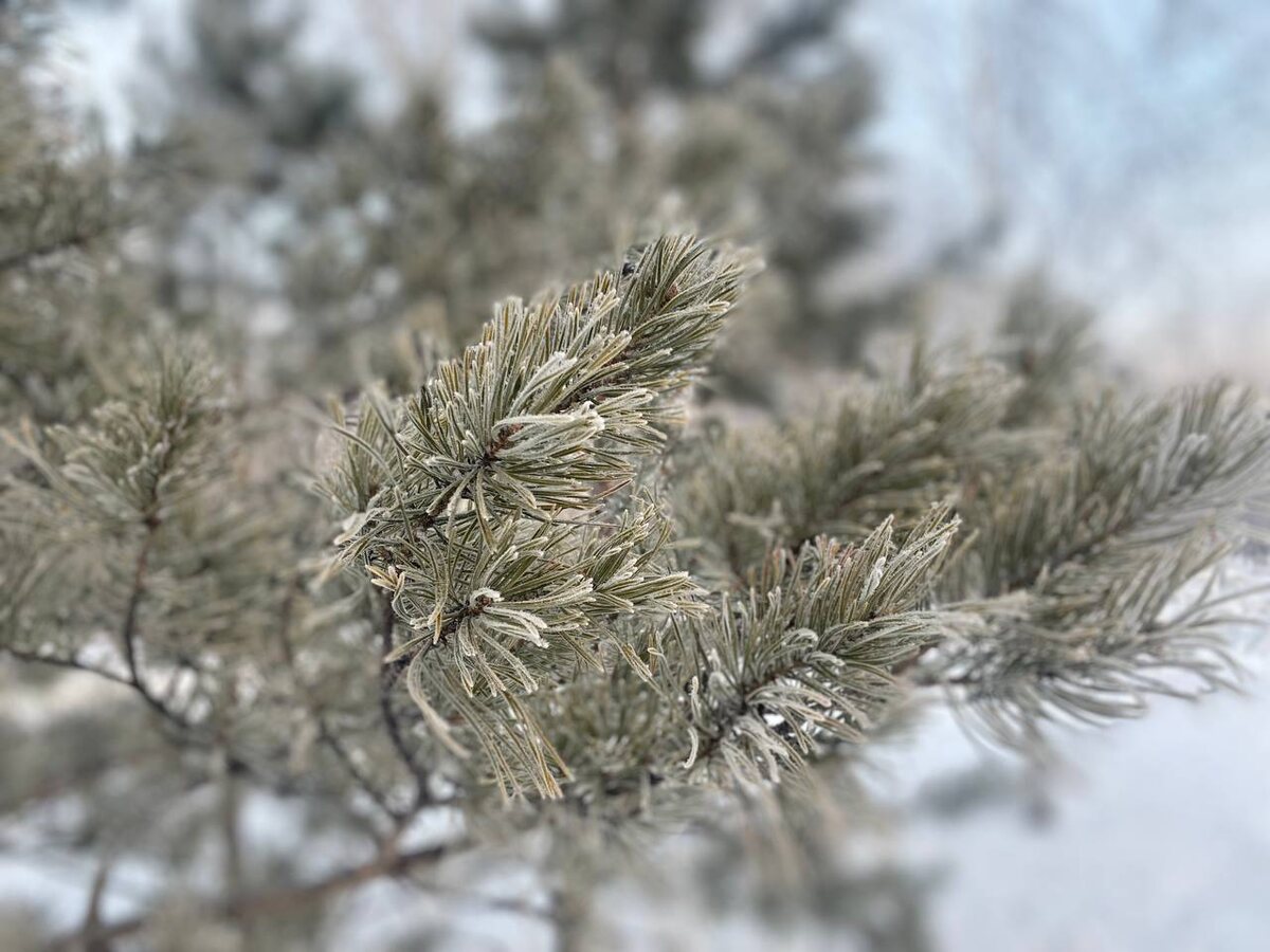 Фото:freepik.com