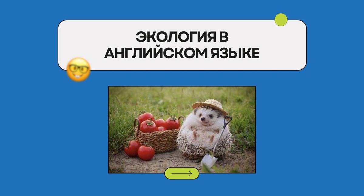 Изображение: Family English