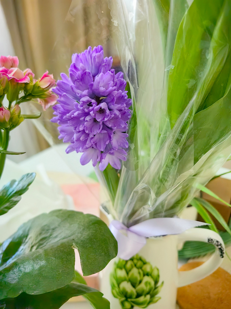 Вот он - "виновник торжества" 