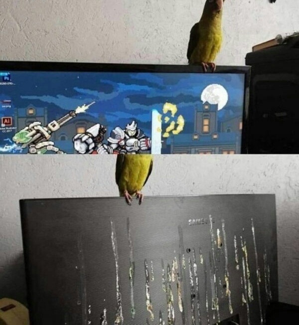 Маленькие неприятности