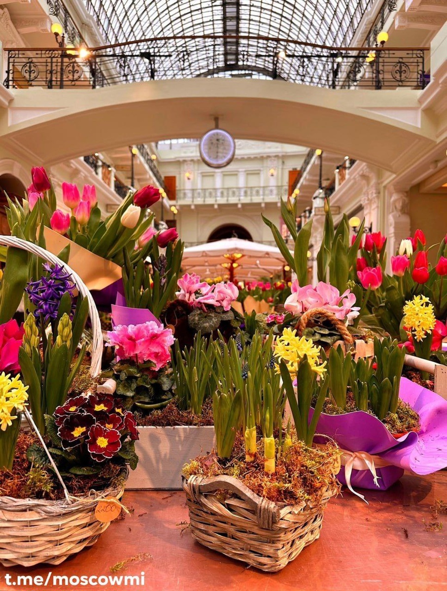 Празднует ГУМ, поздравляет метро t.me/moscowmi