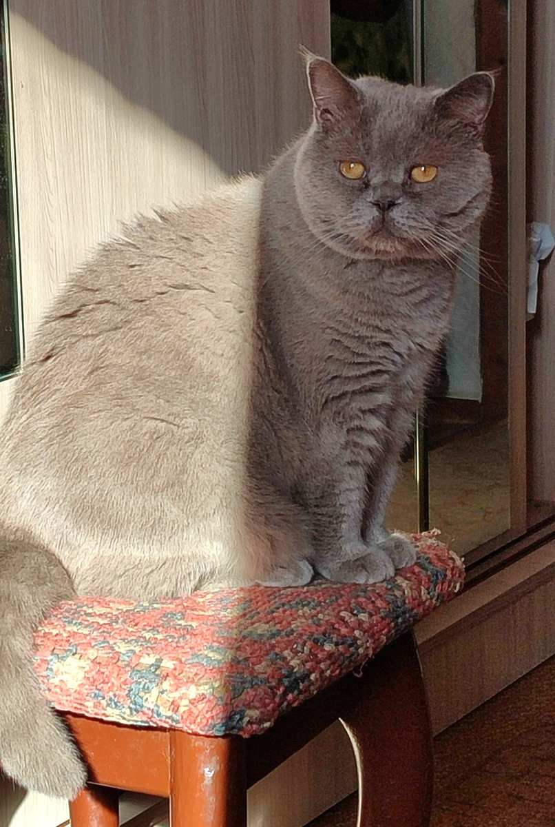 А попа на солнышке