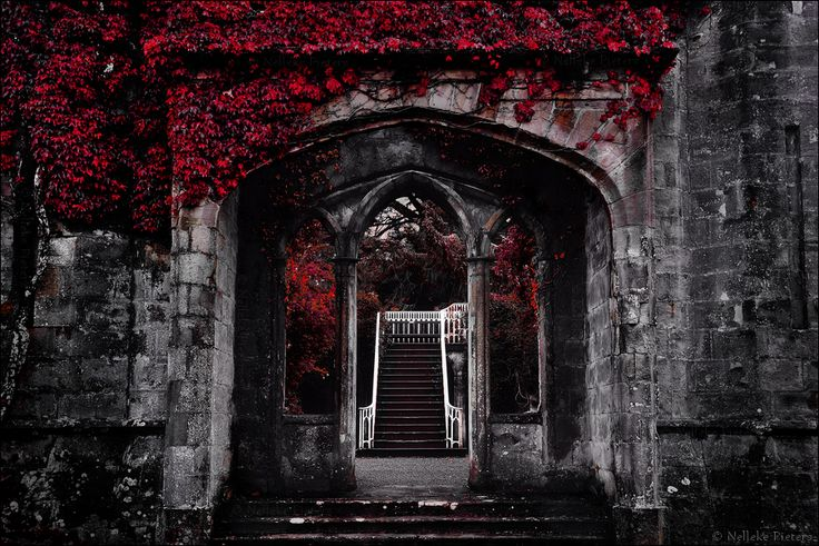 Яндекс.Картинки