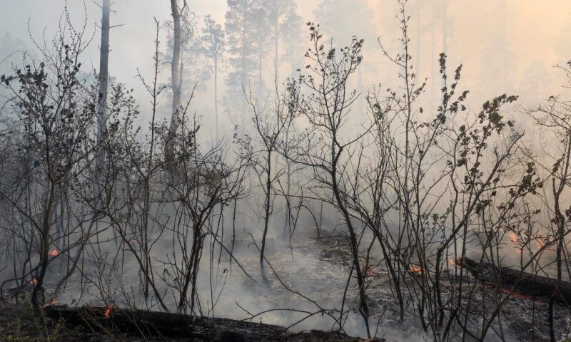    Фото t.me/krd_klpc