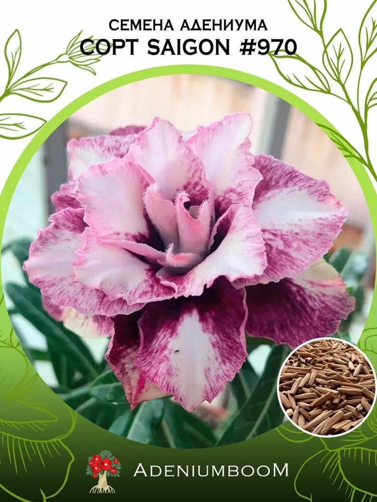 Мой любимый цвет - "пыльная роза", "скисшая малина". 