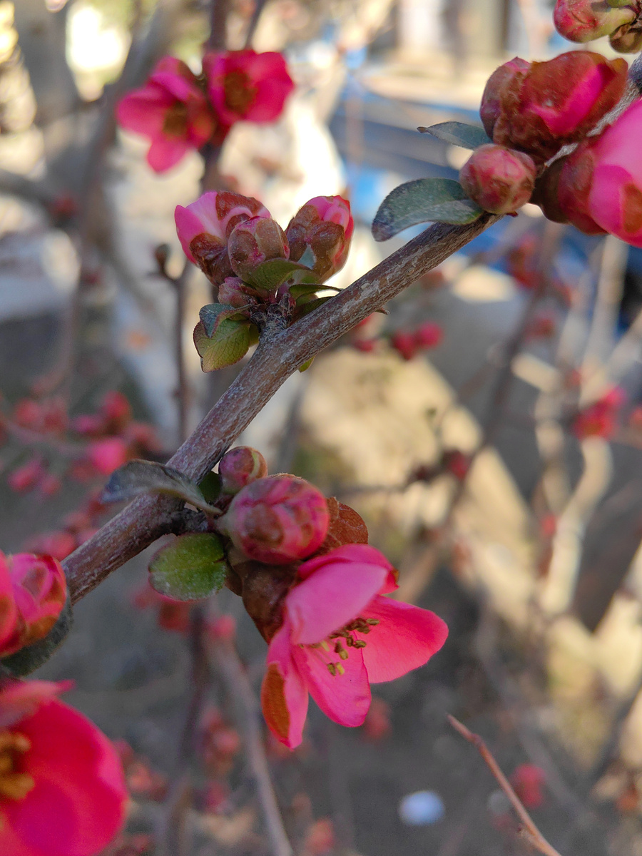 Фото автора канала