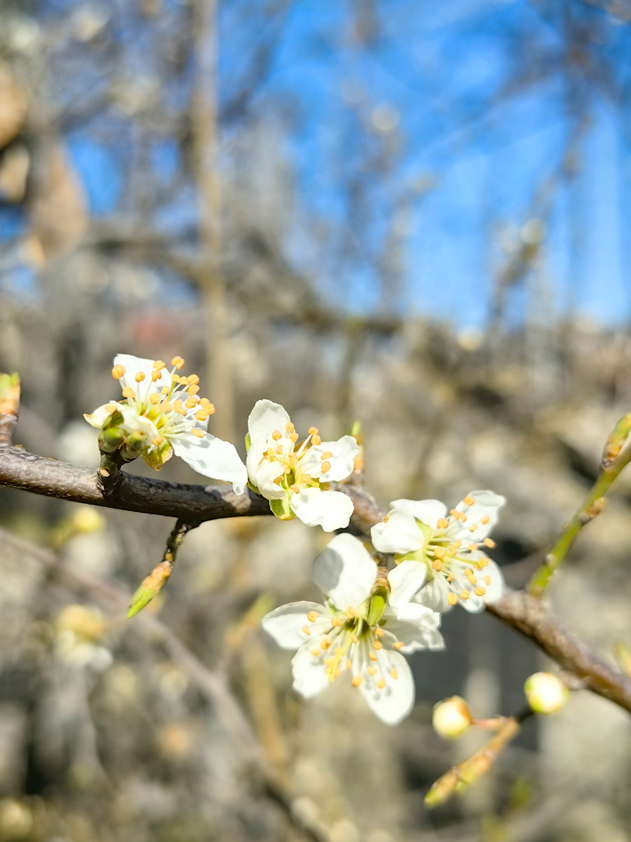 Фото автора канала