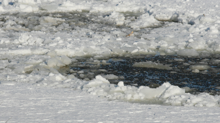    Фото: © РИА Новости/Максим Богодвид