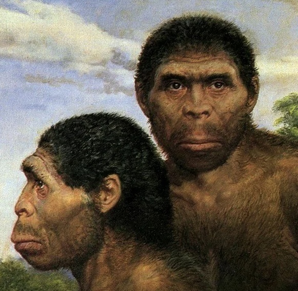 Изображение из открытых источников