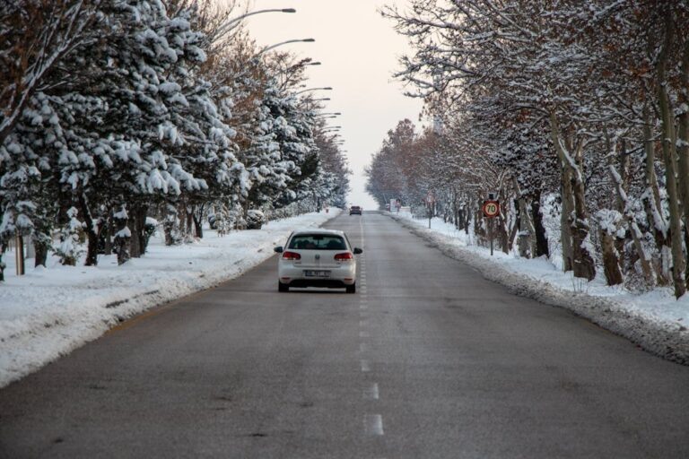    Фото: pexels.com/Bekir Umut Vural Илья Федоров