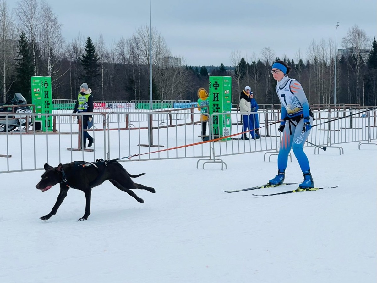    Фото: Центр спортивной подготовки