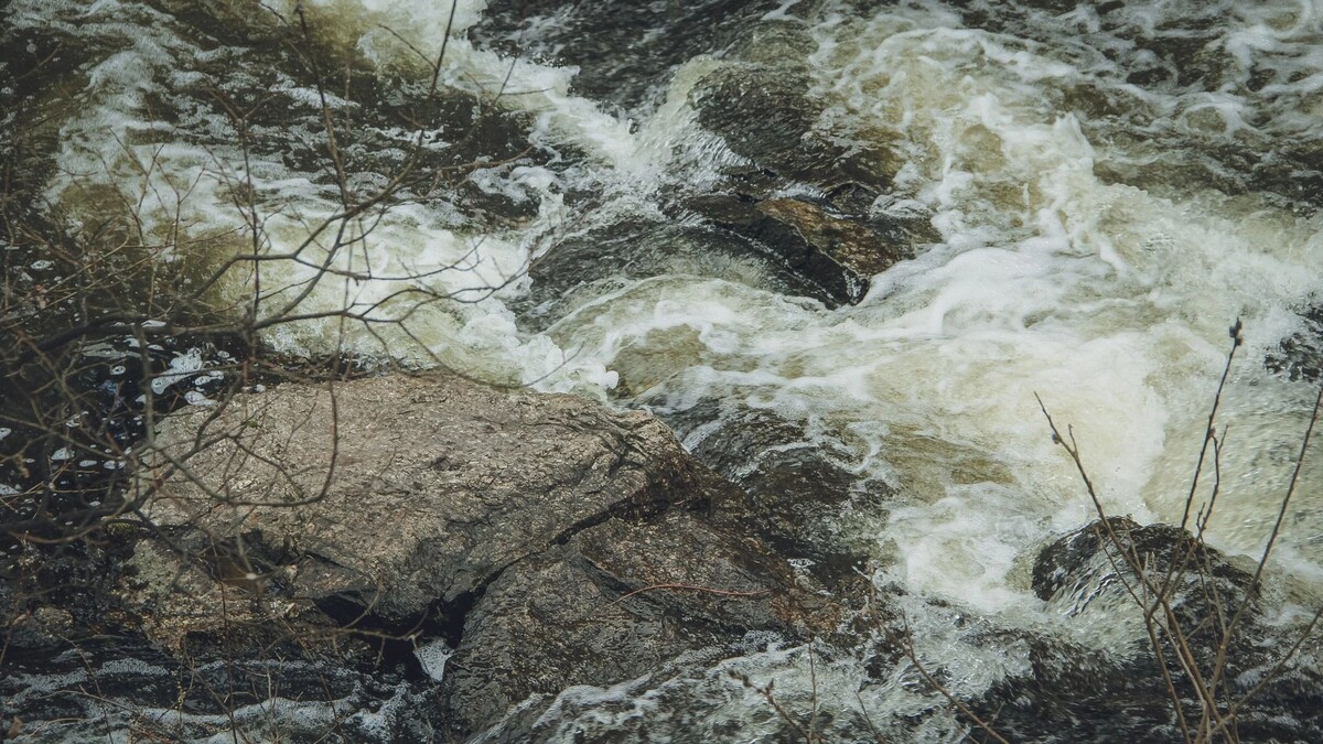     Источник: 1MI