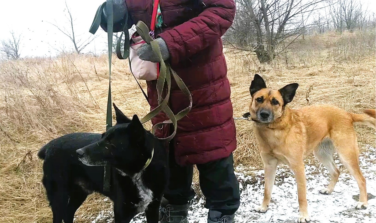 Фото автора