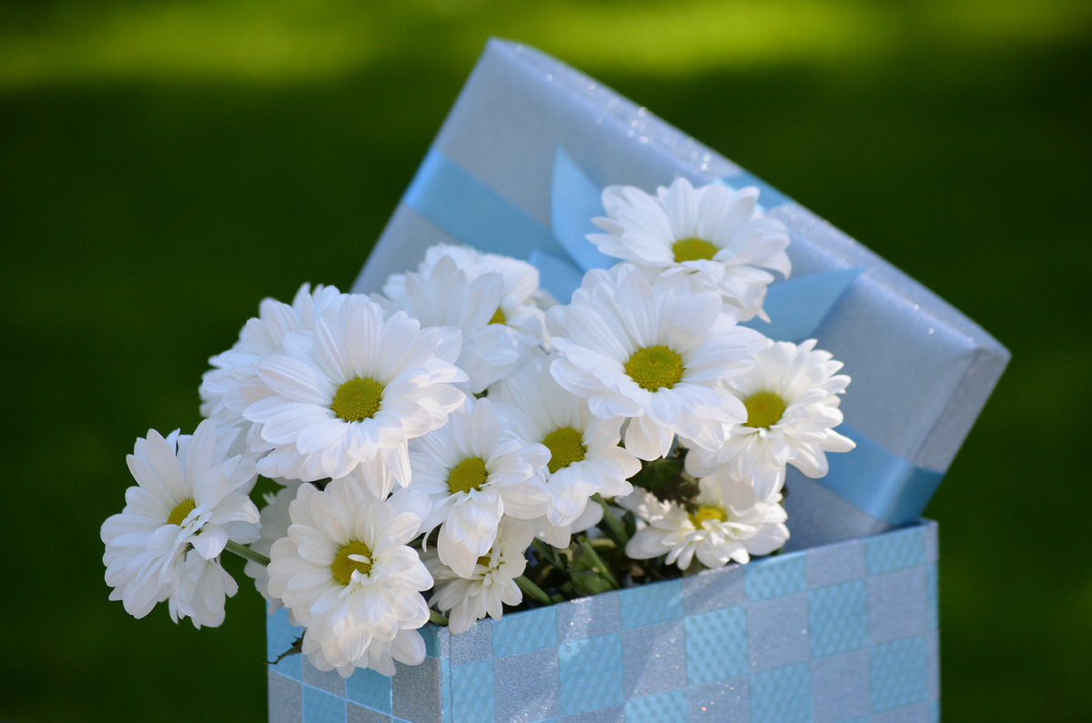 С праздником, девочки