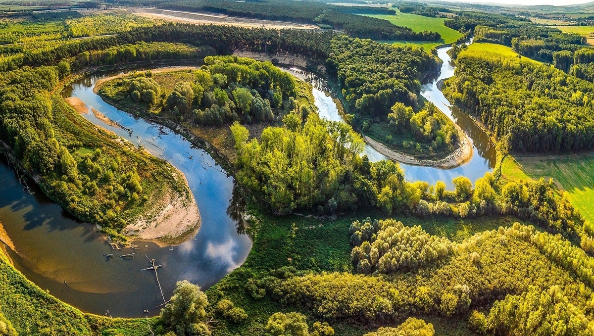 Теория рек как инструмент личностного роста
