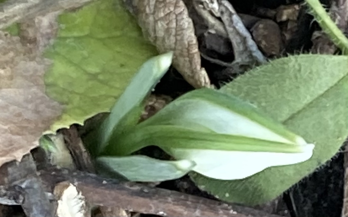 8.03.2025, фото автора