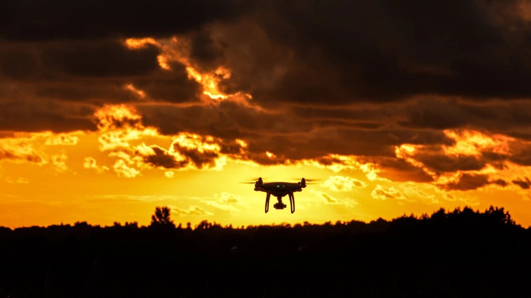    Фото: freepik.com.