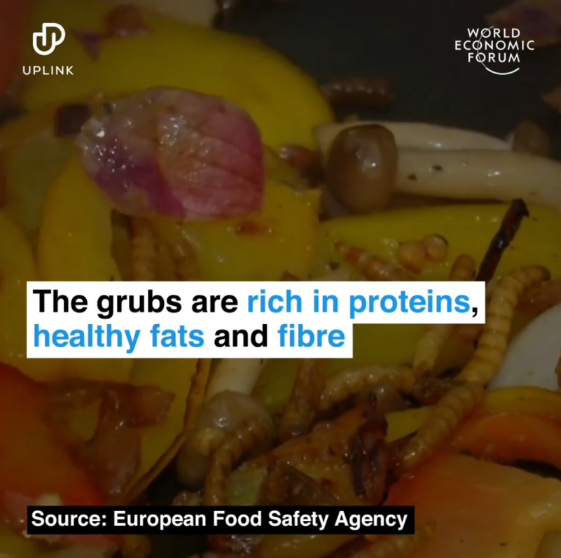    Скриншот с сайта: weforum.org