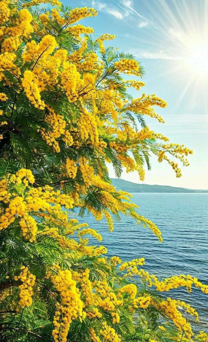 С праздником весны!