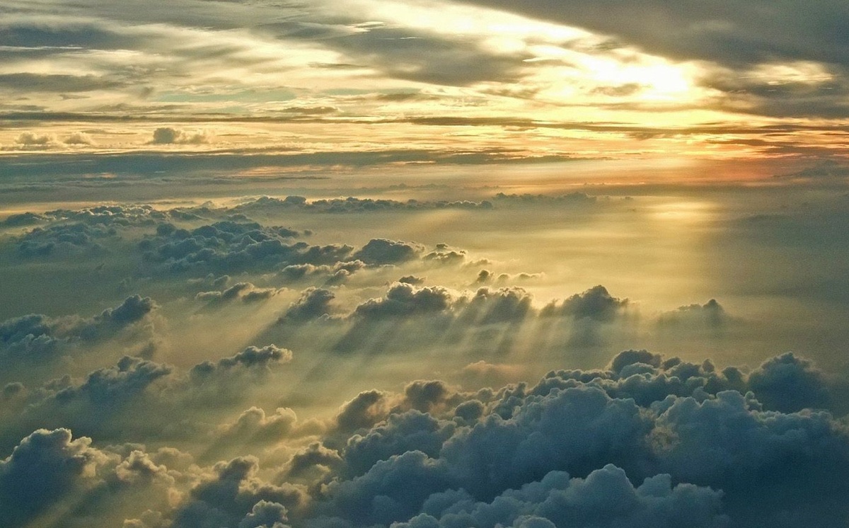 Фото из интернета