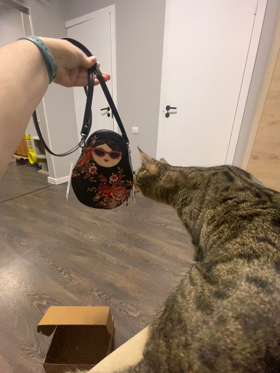 Кошенька как истинная леди тоже заинтересовалась сумочкой