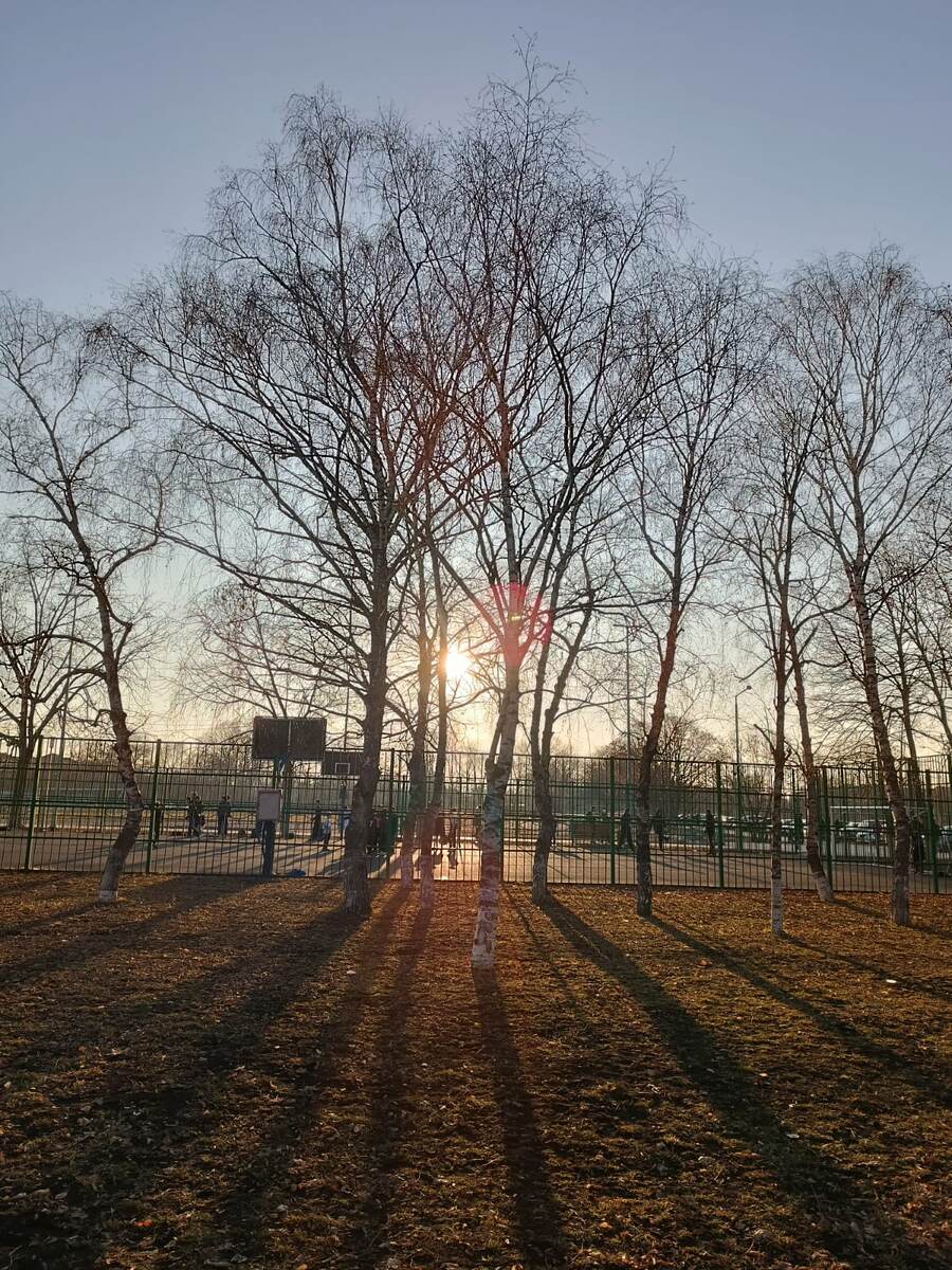 Закат сегодня в парке.