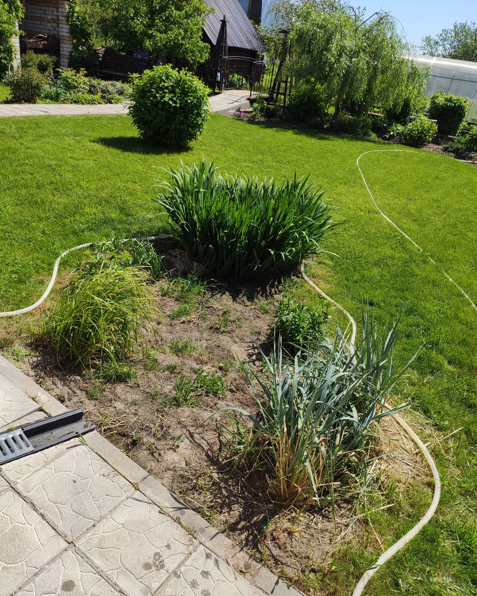 Сухой ручей