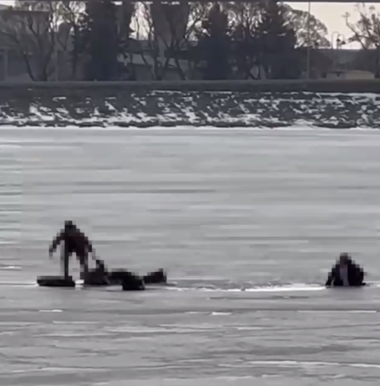    Фото: стоп-кадр видео из соцсетей