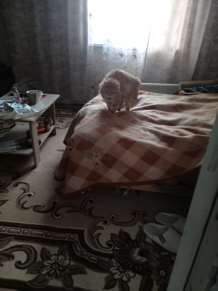 Первая встреча