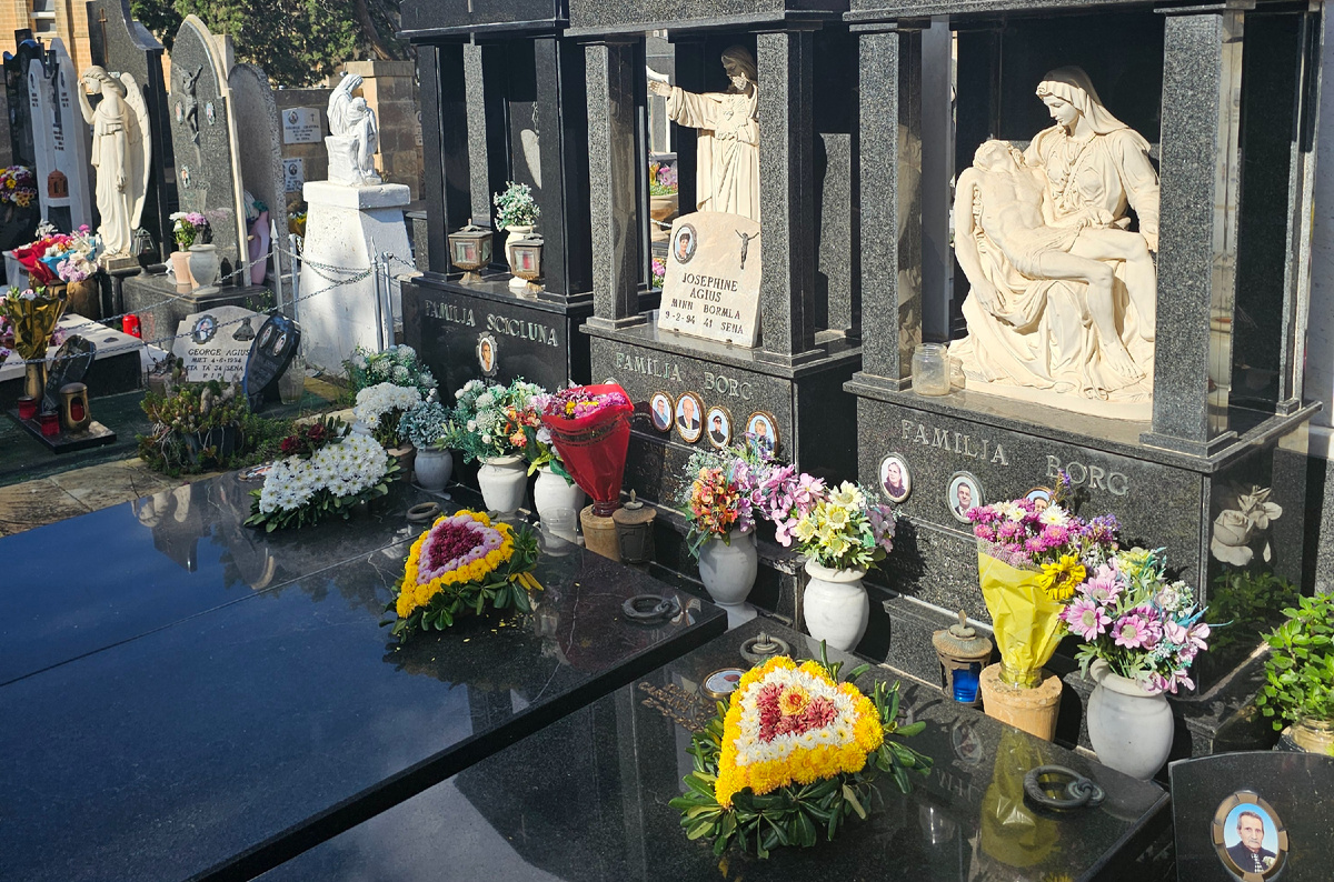 Где чаще всего можно увидеть цветы